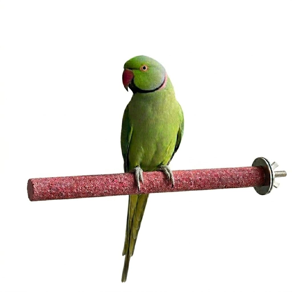 Bird cage Perch for large Parrots, 35cm Colorful Wood Stand with Rough Surface for Claw & Beak Grinding, 2.2cm Diameter مجثم مبرد للأظافر والمنقار، وقافة خشب للطيور طويله الذيل- طول 35 سم وقطر 2.2 سم