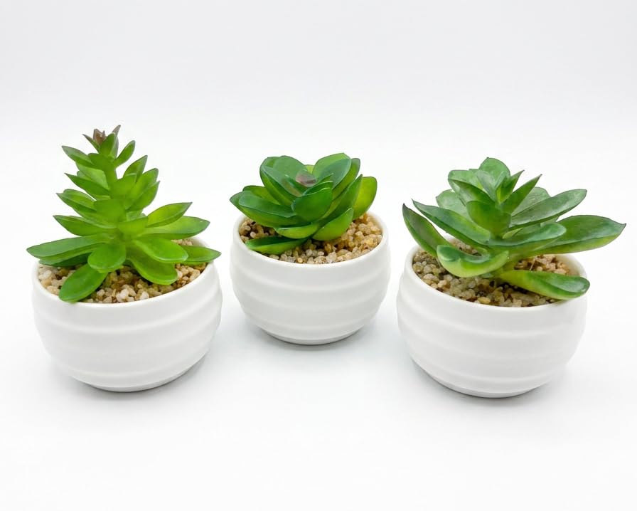 Mini Artificial Cactus Set of 3 in White Plastic Pots, Realistic Artificial Plants for Home Office Bathroom Shelf Decor, Modern Indoor Decor Natural Looking