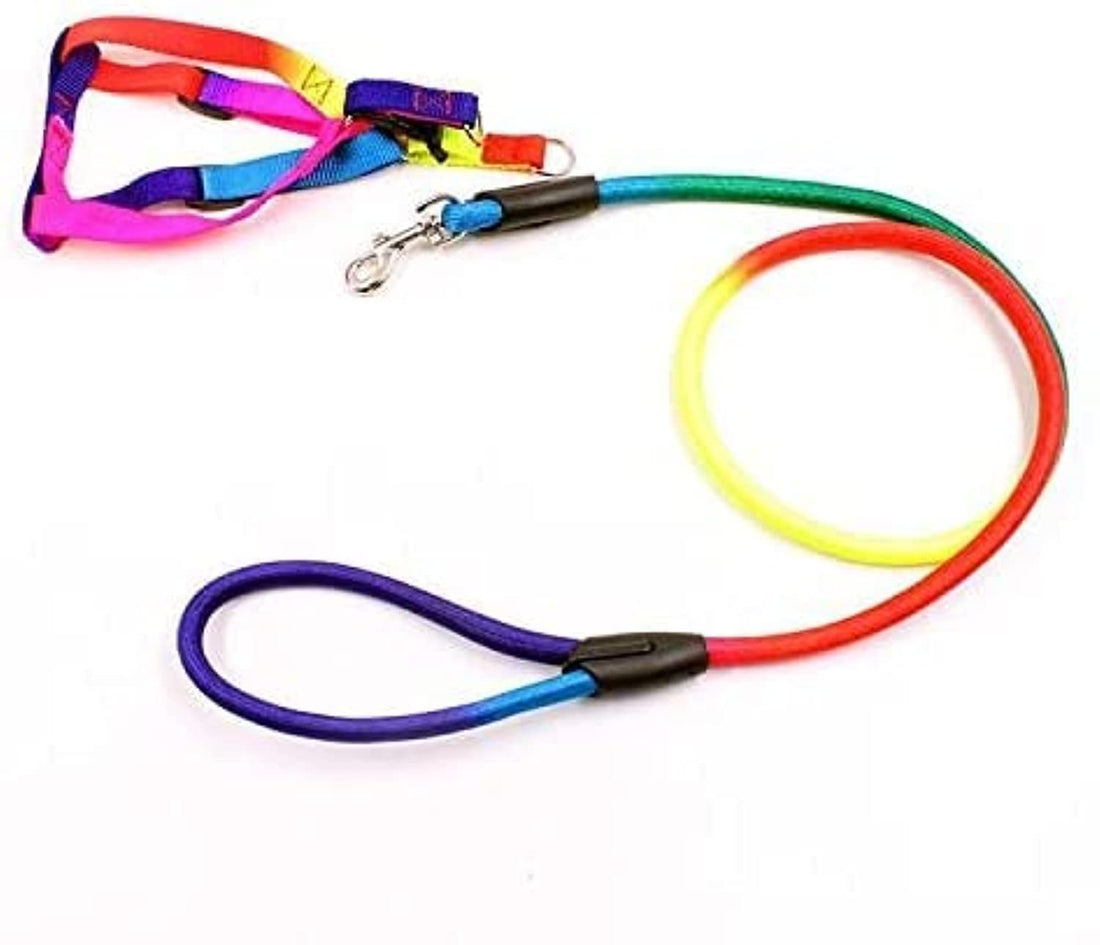 Dog Harness and Leash in Rainbow Size Small