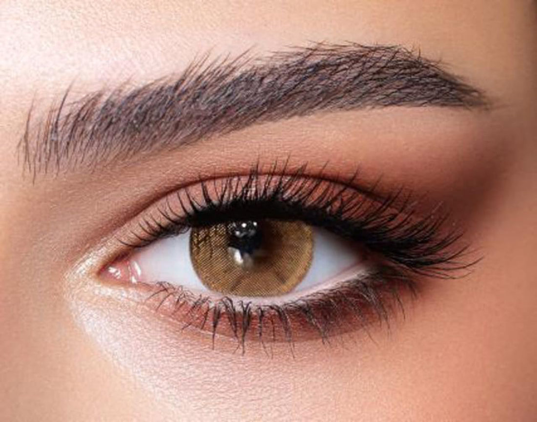 Bella 1Day The Secret Collection - Hazel Beige -3.00