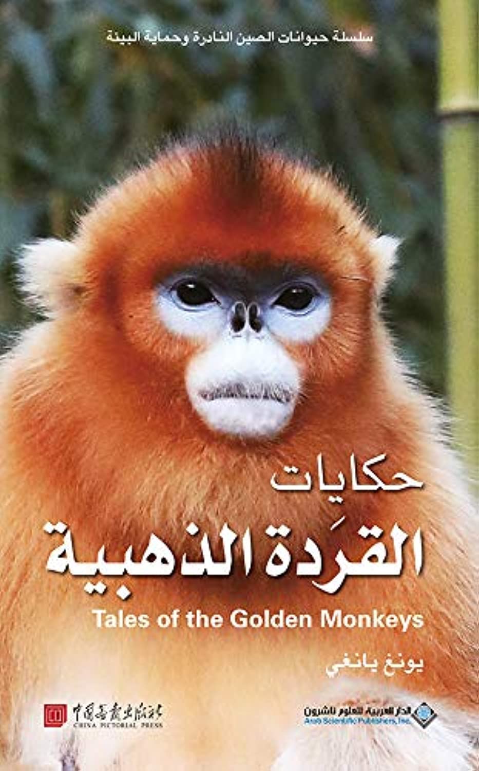 حكايات القردة الذهبية