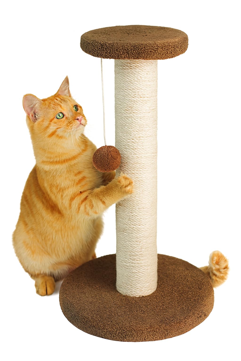 Cat Scratching Post with Sisal Rope & Play Ball – Tall Kitty Tree Tower Activity Center for Indoor Cats, Sturdy Carpeted Base, Durable & Easy Assembly – Brown (38x20cm)
