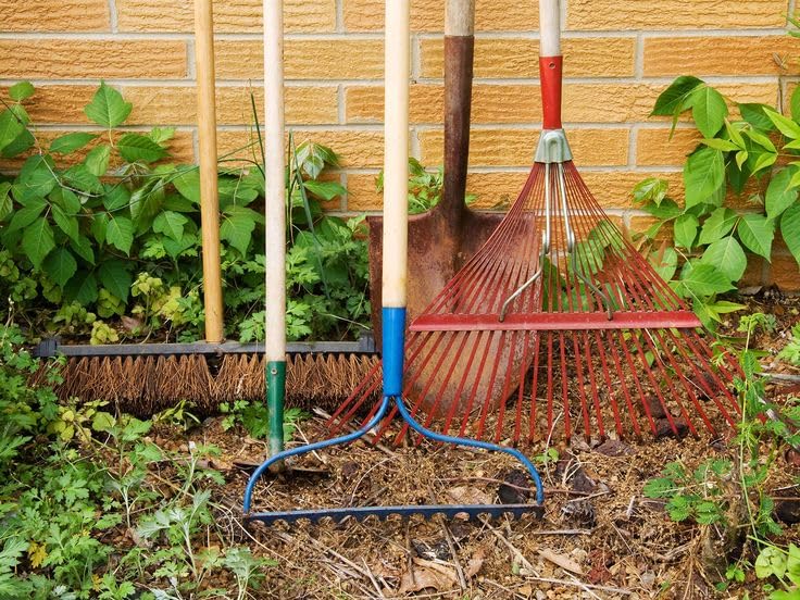 5 Piece Garden Tool Set, Rake, Lawn Broom and Garden Combs, Wooden Handles, Multicolor