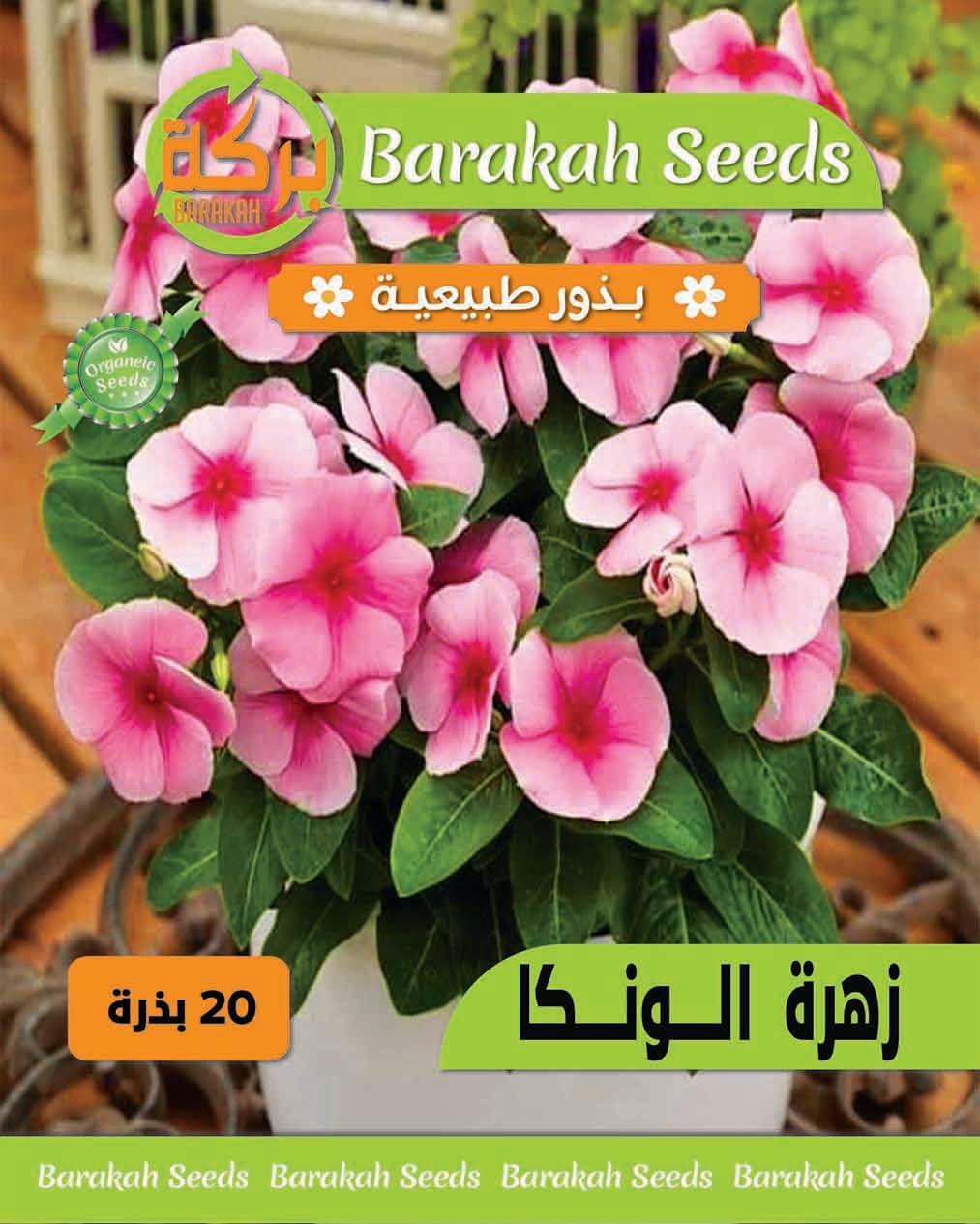 Natural High Germination Seeds - (Wonka)
