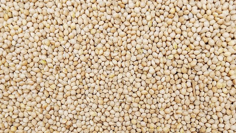 Balkum for Budgies, Cocktails - 2 Kg