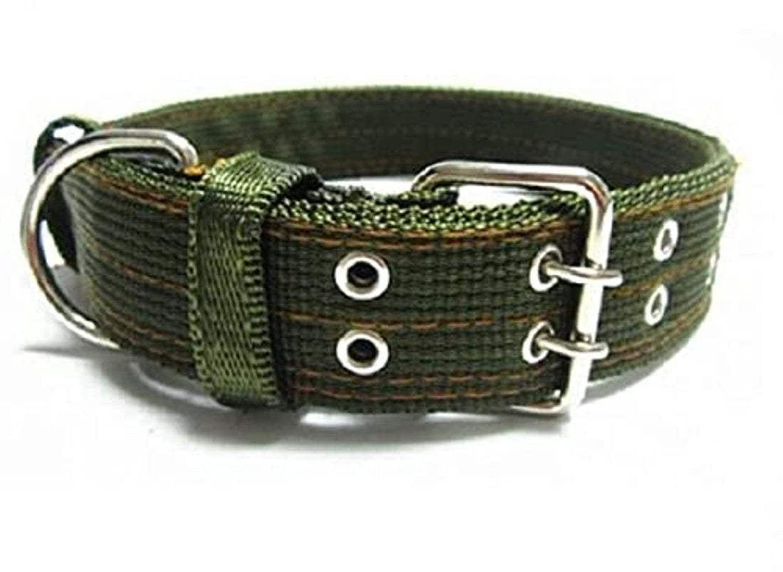 Imac Nylon Dog Collar