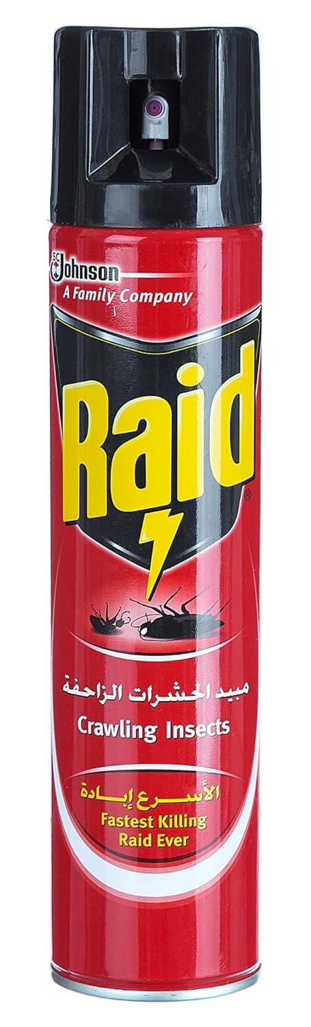 Raid
