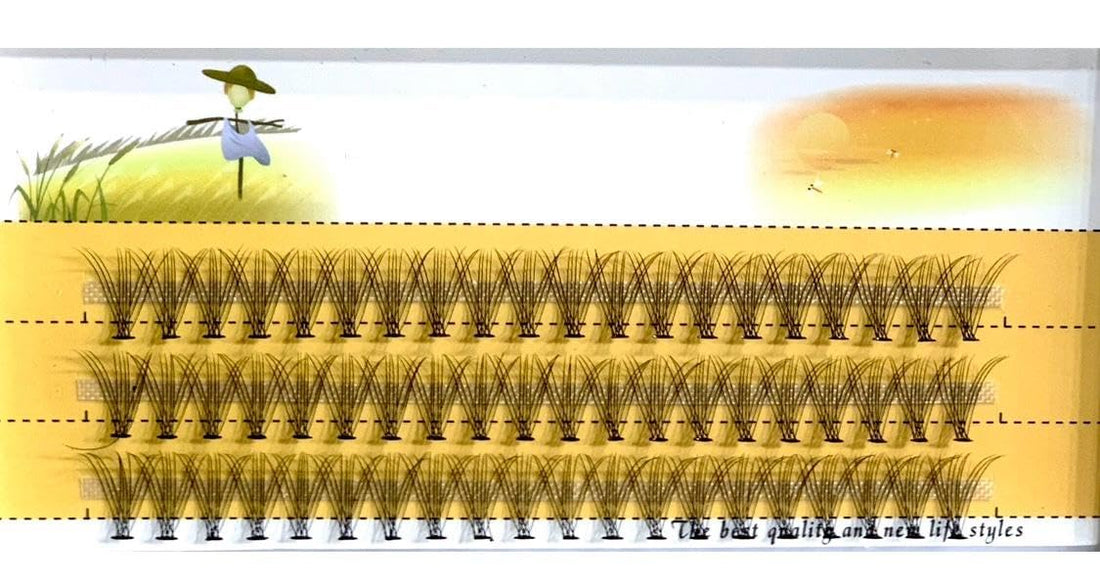 60 PCS - Extensions Individual Lash Volume 6D mink - FREE EYELASHES - Natural Eyelashes 6D -(10 D)-ONE BY ONE