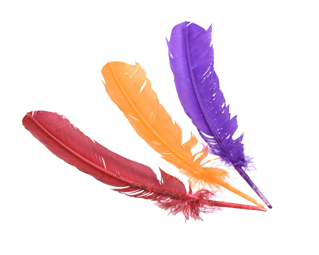 Elmaayergy F-3_E-243 Set Of 3 Pieces Of Feathers Suitable For classroom, Homeschooling, And Individual Study Environments