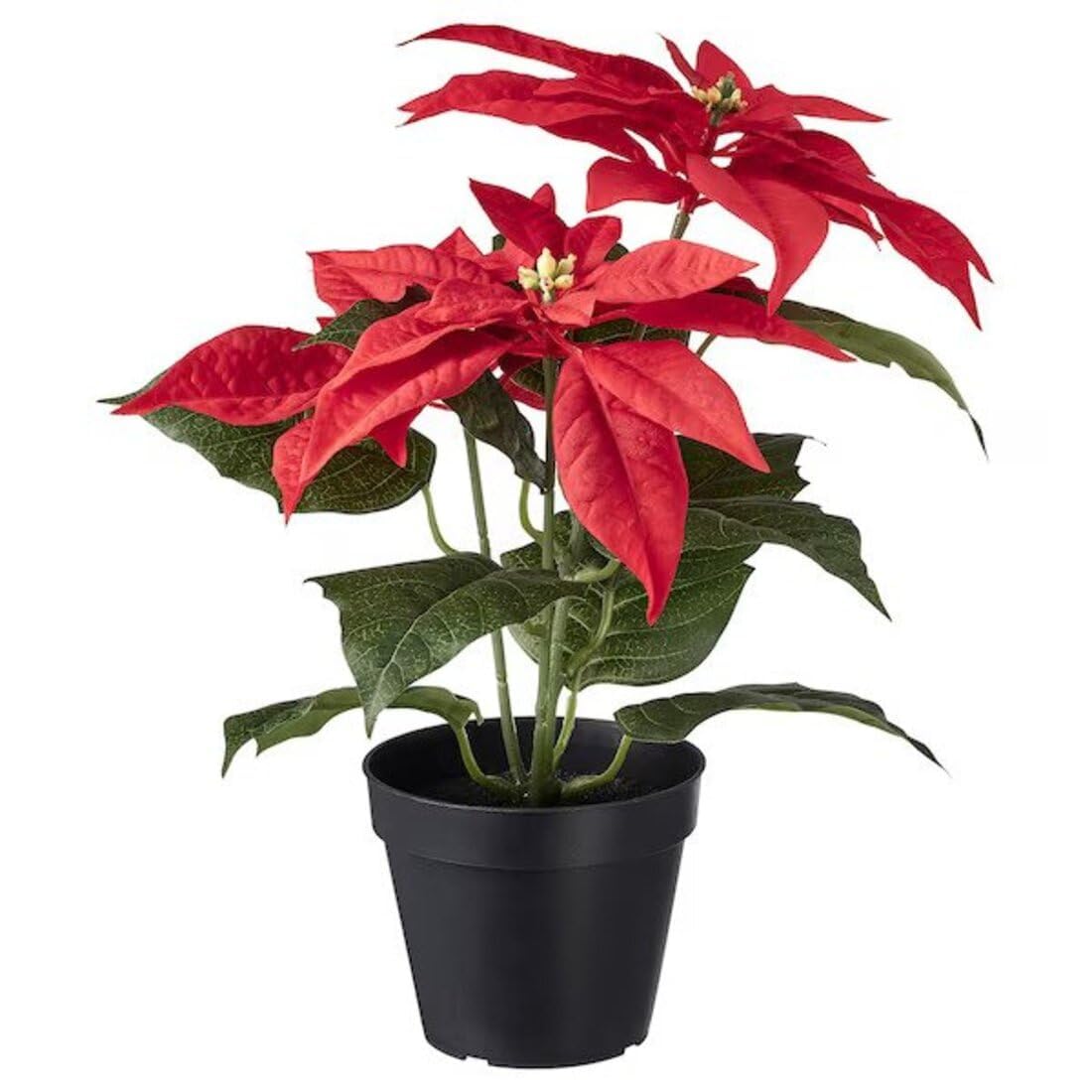 Digital Shoppy VINTERFINT Artificial Potted Plant, in/Outdoor Poinsettia/red, 12 cm (4 ¾ ")