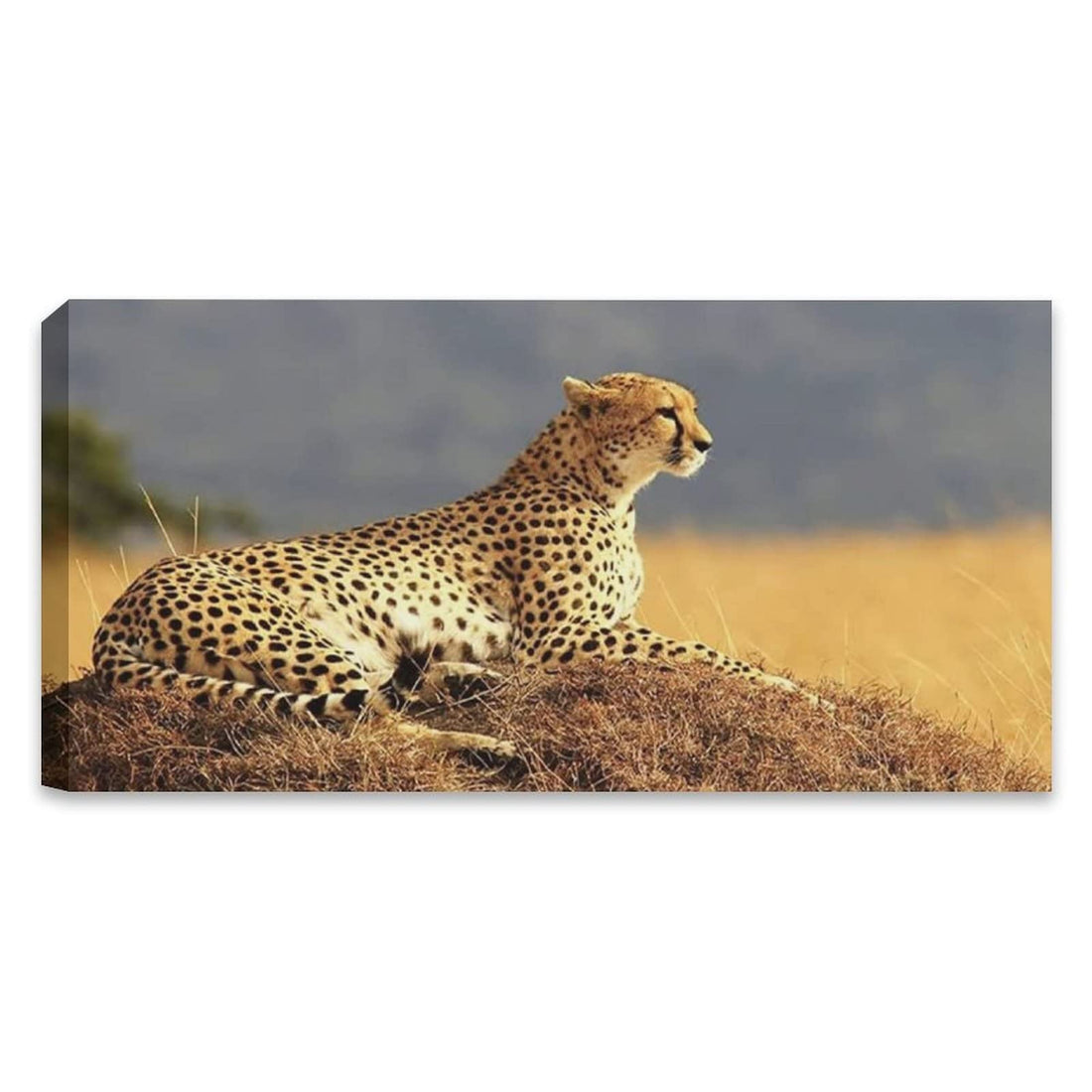 Animal Wall Art Cheetah Poster Wildlife Poster Cool Poster Wall Art Paintings Canvas Wall Decor Home Decor Living Room Decor Aesthetic 20x40inch(50x100cm) Frame-Style