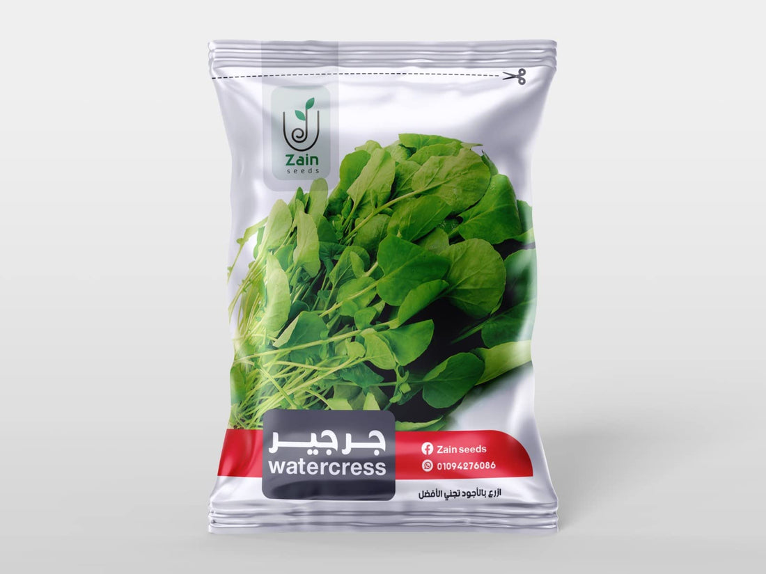 بذور جرجير من زين سيدز