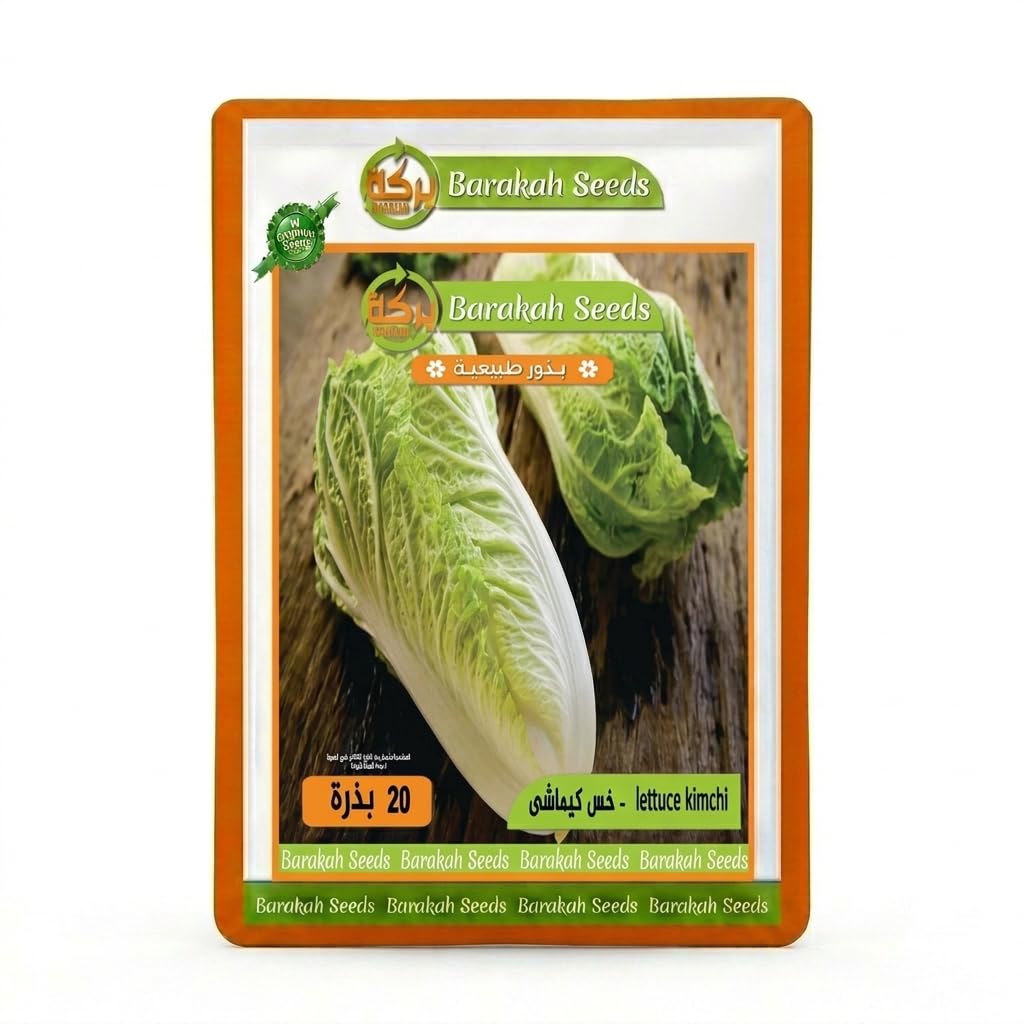 Imported Natural Seeds for Plant (Kimachi Lettuce)