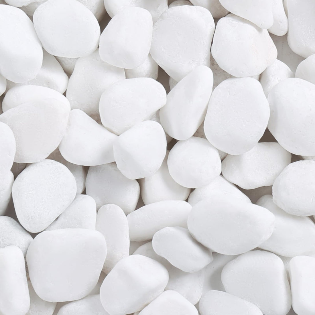 SIDONG 10 lbs White River Rocks, 1.2-2 Inches Pebbles for Indoor Plants, Aquarium Rocks Used in Fish Tank, Decorative Stones for Plants, Vases, Home Décor, Crafting, Garden Landscaping