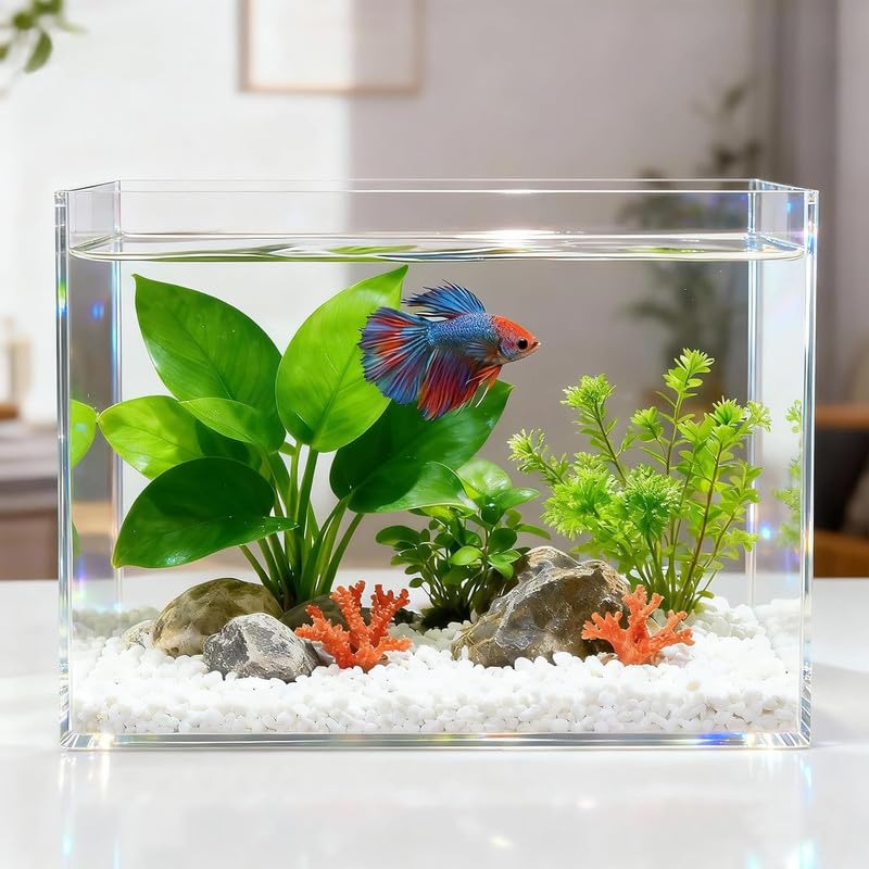 Best Media 3 Gallon Acrylic Fish Tank - Small Aquarium for Raising Betta Fish, Goldfish, Snails, Snakes, Shrimp, and Aquatic Plants - Easy to Maintain
