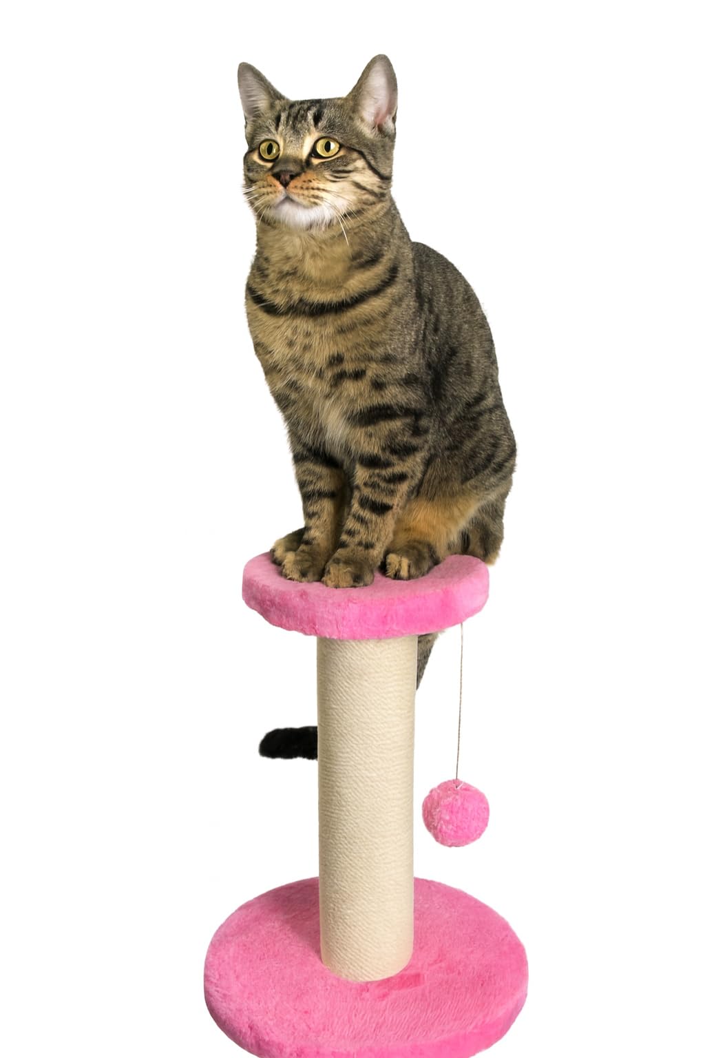 Pets House & Care Cat Scratching Post with Sisal Rope, Hanging Ball & Carpeted Base – Tall Kitty Tree Activity Center for Adult Cats, Durable & Easy to Assemble – 38x20cm (pinkand White)