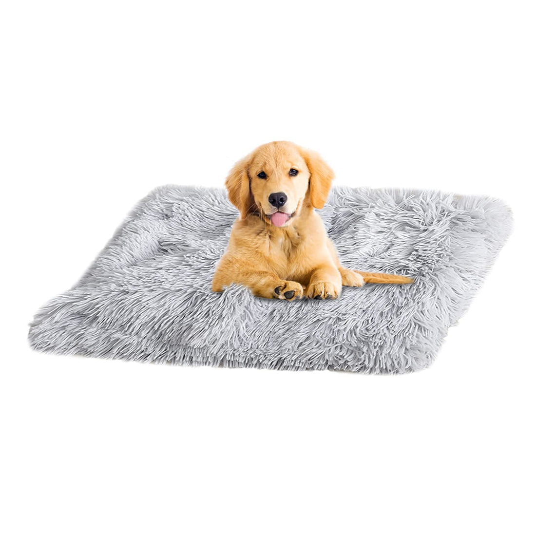 Moro Moro 3 Warm Fleece Dog Puppy Blankets Fur Premium Quality Anti-Anxiety Pet Blankets Soft Fuzzy Microfiber Cat Throw Bed Couch Washable Shag Frost