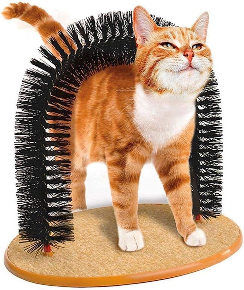 Circle M Arch Door Cat Scratching Toy Black for Indoor Play
