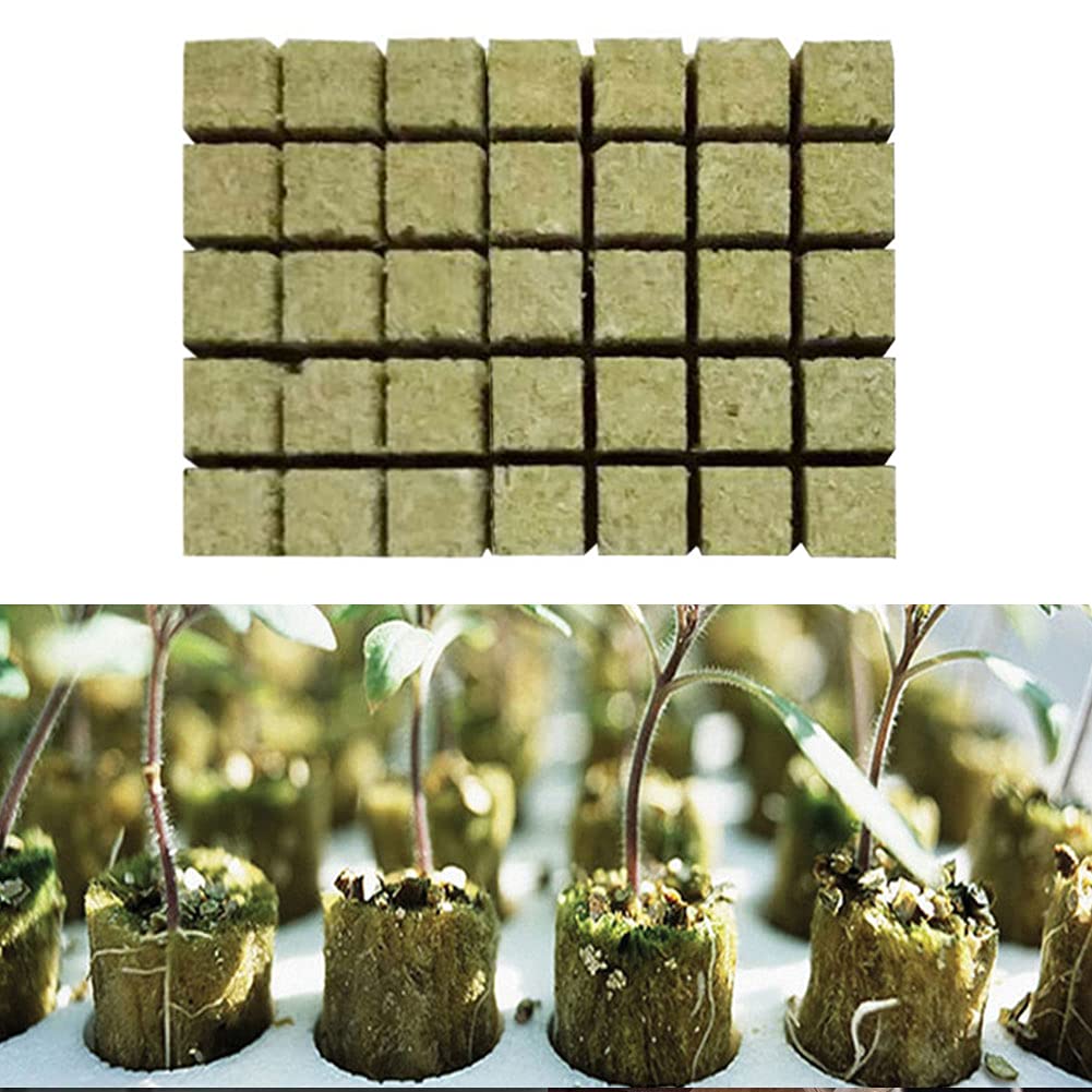 Pack of 25/50 Rock Wool Cubes Rock Wool Mat Grow Propagation Mat Floorless Culture Substrate Agricultural Cuttings 25 x 25 x 40 mm (49 pieces (36 x 36 x 40 mm))