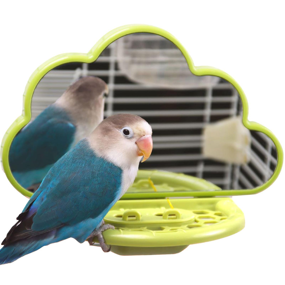 Bird Mirror with Perch and Slow Feeder, Interactive Bird Toy, Birds Cage Accessories for Parakeet, Budgies, Cockatiels, Conures, Lovebird, Finches and Canary (Green)