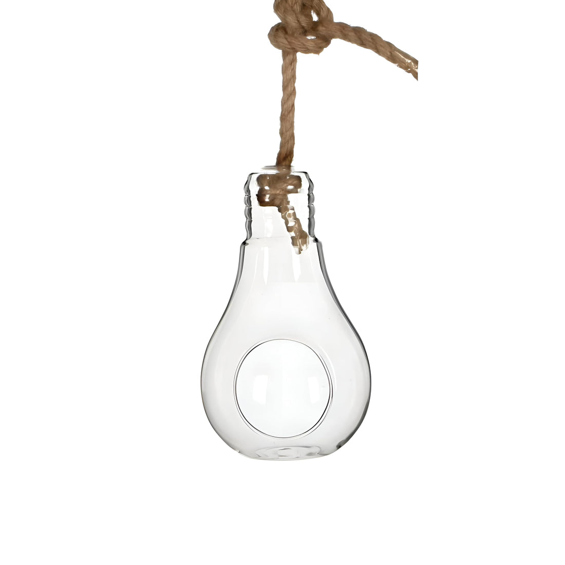 Succulent Holder - Stylish Glass Bulb Container with 9 cm Depth and Hanging Loop, Perfect for Creative Plant Arrangements and Nature-Inspired Home or Office Decoration