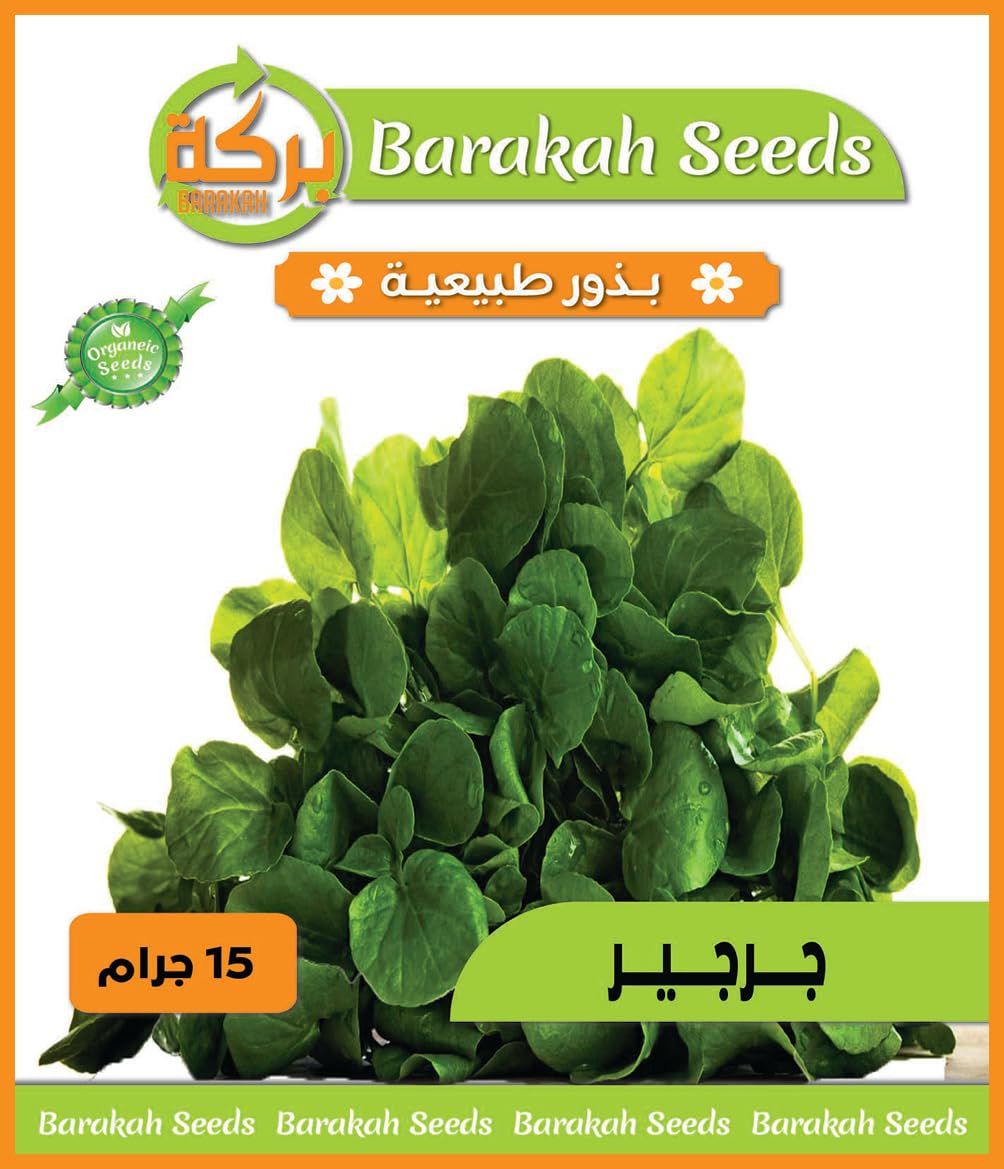 High Germination Seeds for Cooking Herbs - Seeds (Arugula, Organic, 1)