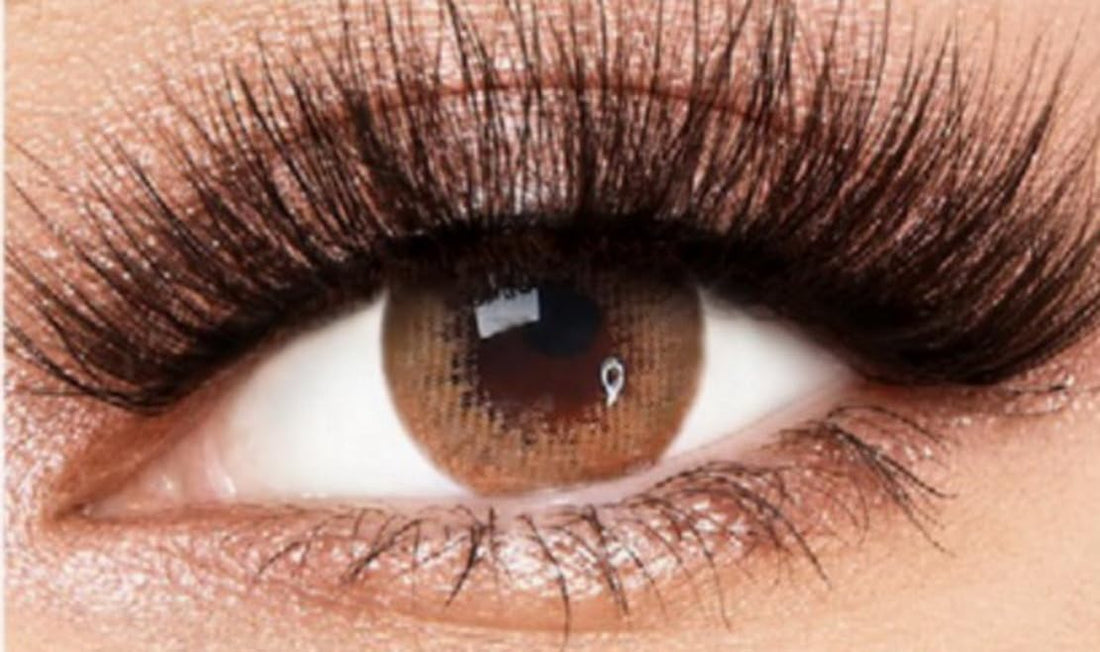 Fresh Lady Latte Contact Lenses - 14.2mm, 55% Water, Silicon Hydrogel, Soft, Spherical, Latte Color