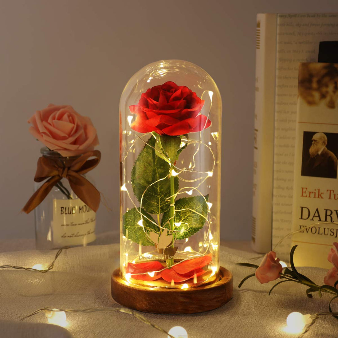Beauty and The Beast Rose in Glass Pot, Red Artificial Rose Forever Unique Gifts for Women Christmas Wedding Valentine's Day Anniversary Birthday