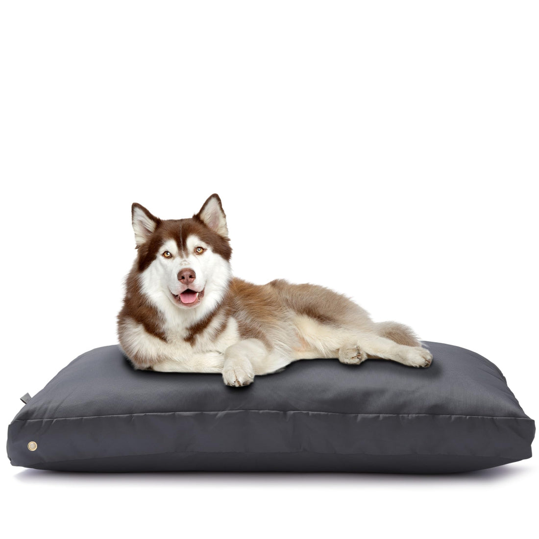 Flowen Dog Bed Washable Dog Cushion Large and Medium Dog Cat Bed Waterproof with Removable Outer Cover Anti-Bite and Anti-Scratch Dog Mat 90 x 70 cm Ideal in Summer and Winter Grey