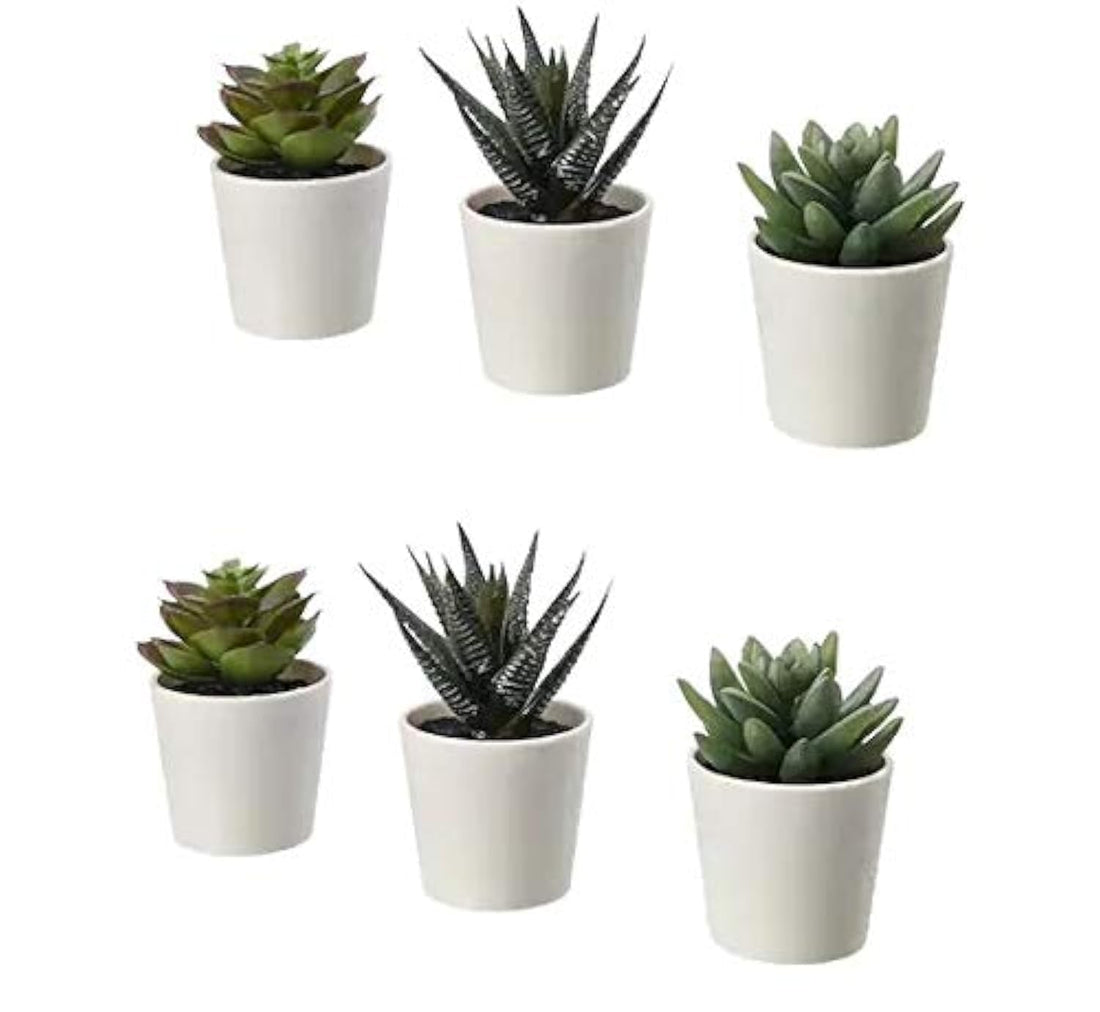 Ikea TSSP Artificial Potted Plant with Pot, in/Outdoor Succulent6 cm (6)
