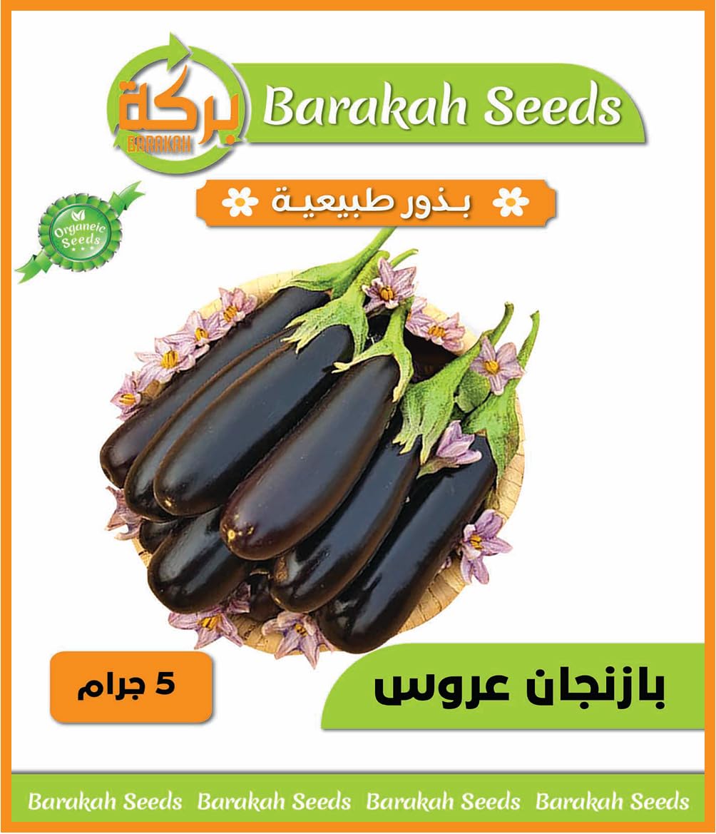 High Germination Vegetable Seeds for Plant (Bazangan Black Arnus, Organic, 1)