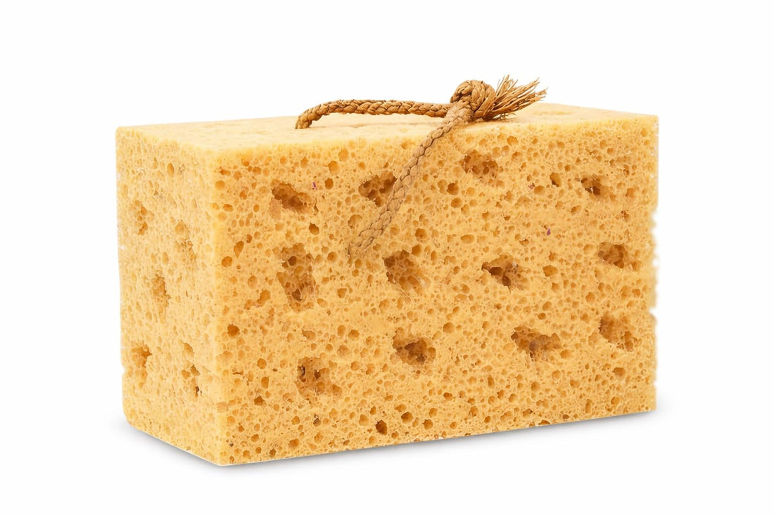 Professional Car Cleaning Sponge, Super Water Absorption Sponge for Perfect Body and Glass Shine Without Traces or Scratches on Paint