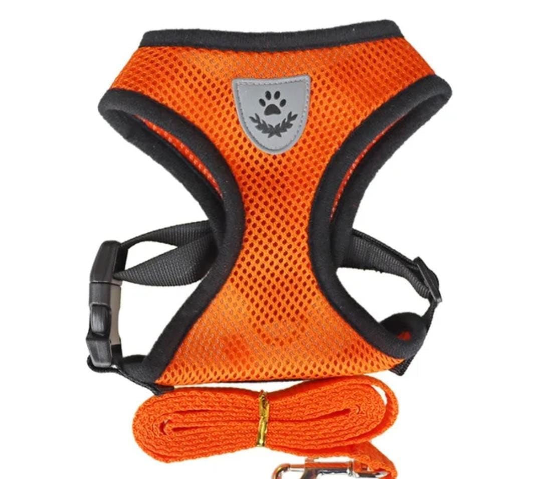 Dog Cat Harness and Leash Set, Soft Breathable No Pull Adjustable Mesh Pet Harness, Keeps Pets Cool and Cozy Multicolor Vest (Orange, XL)