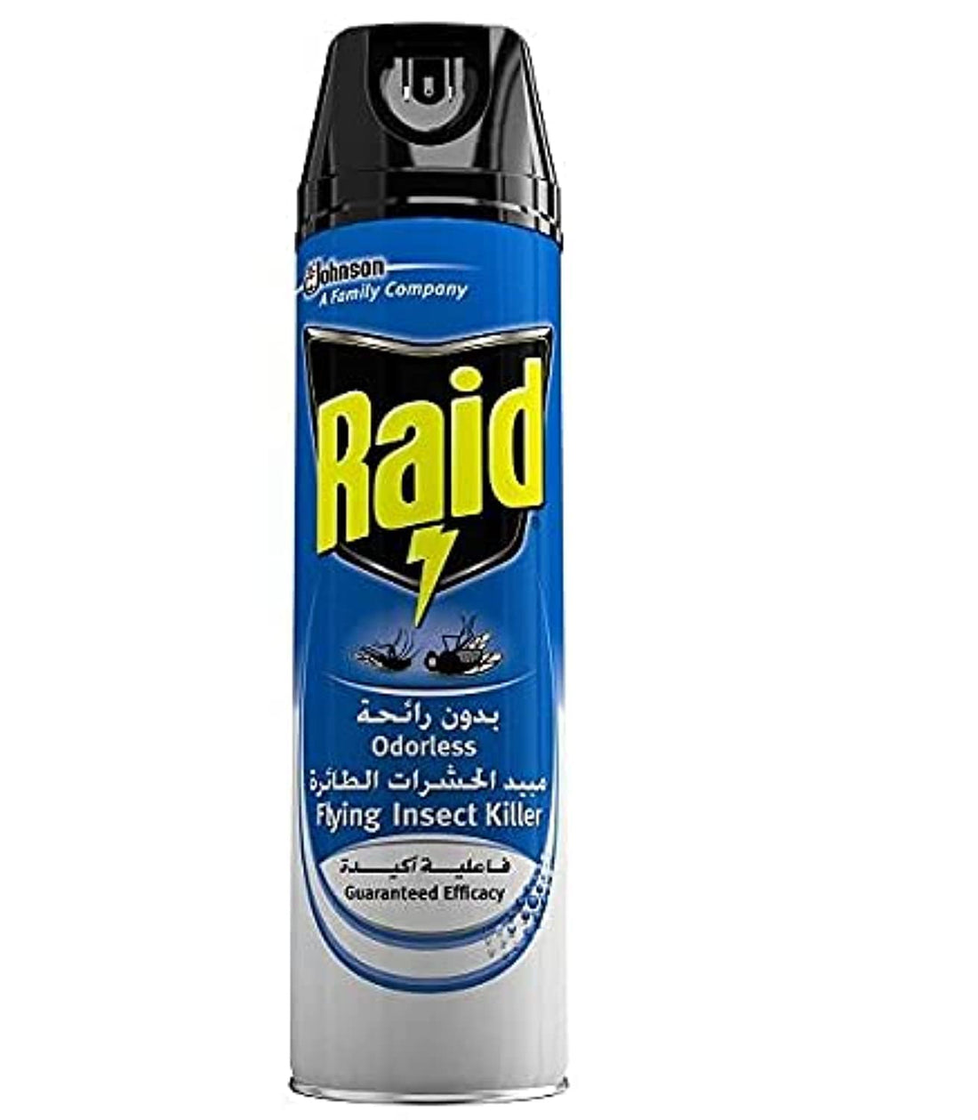 Raid