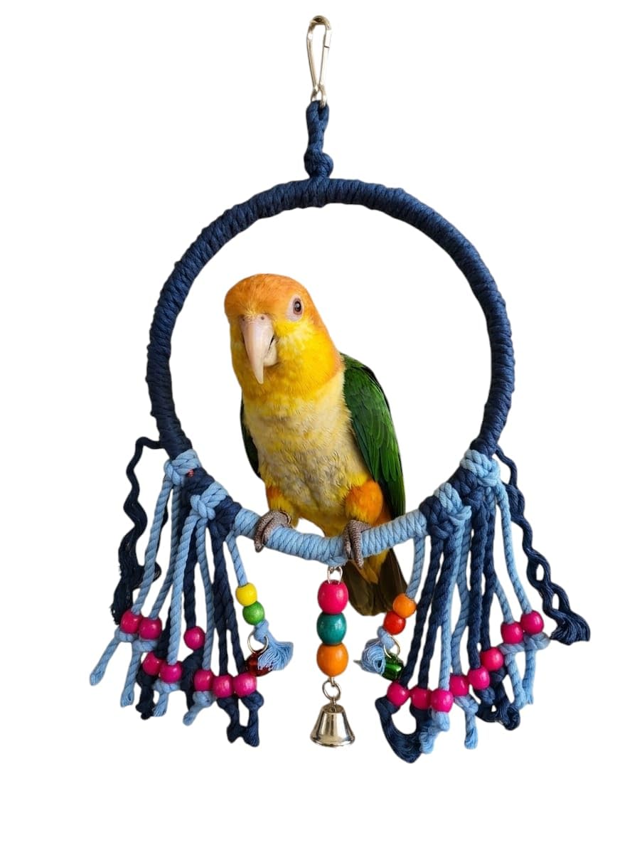 Cotton Rope Bird Swing Ring (20x40cm) - Colorful Parrot Perch & Climbing Toy for Cockatiels, Conures, Lovebirds, Caiqie,Quakers,Pionus parrot