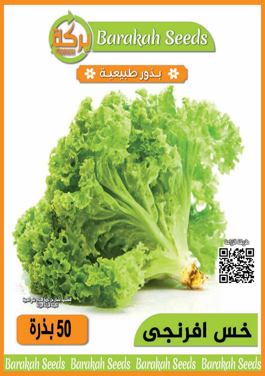 Imported Natural Seeds for Plant (Everangea Lettuce)