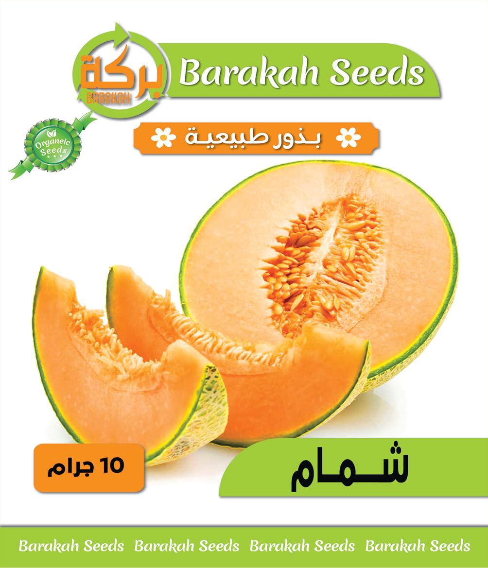 High Germination Vegetable Seeds for Plant (Melon, Organic, 1)