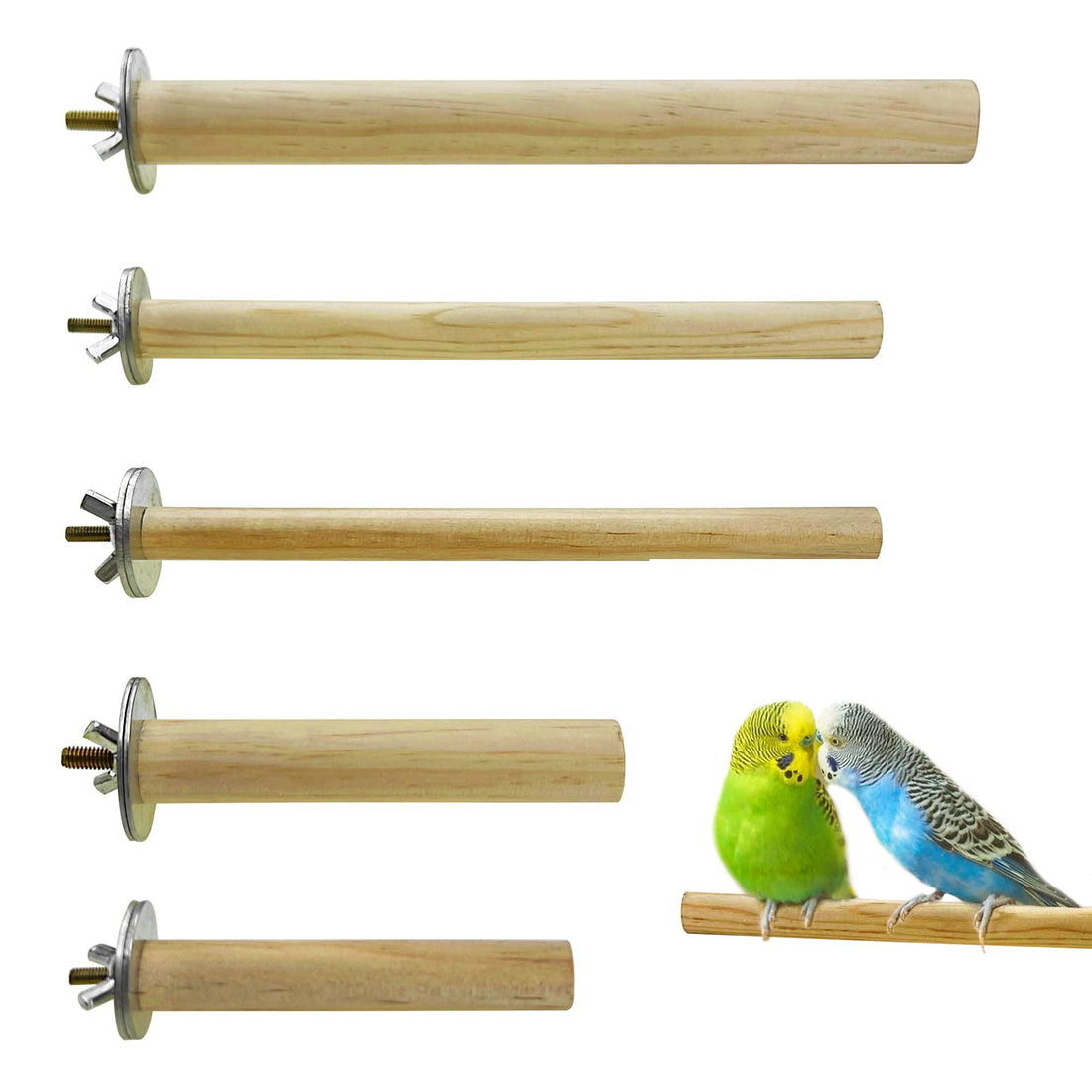 S&X Bird Perch, 5 PCS of Natural Wood Perches with Different Widths and Lengths for Budgies, Parakeets, Canaries, Cockatiels, Conures, Finches & Other Small Birds