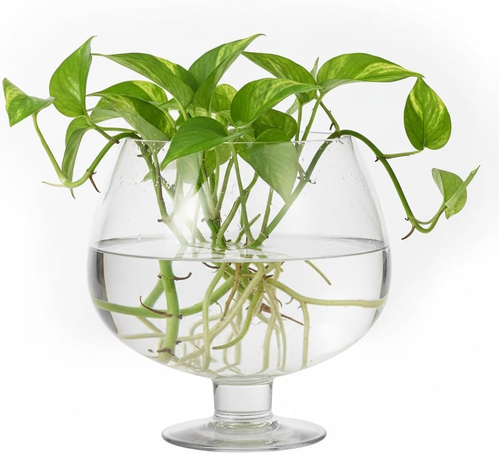 Transparent Glass Hydroponics Planter Pot Hydroponics Plant Pot Base Hydroponics Flower Vase Display