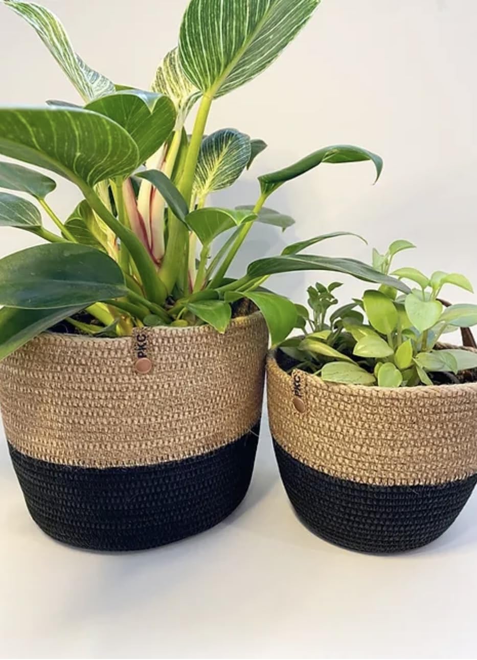 Woven It Woven Jute Plant Pot For Indoor & Outdoor Plants,(15×20×15Cm) Can be used in Kitchen, Toilet, Living Room, Dining Room, Bed Room, Kids Room, Indoor & outdoor.