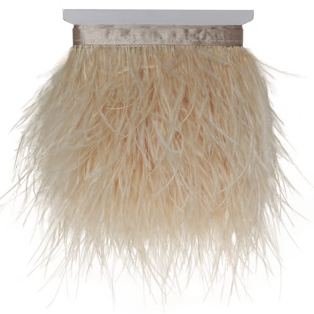 Ostrich Feathers Sewing Fringe Trim Ribbon for Crafts Clothes Accessories Latin Wedding Dress DIY 2-5 Yards 3-4inch Width (5 Yards, Champagne)