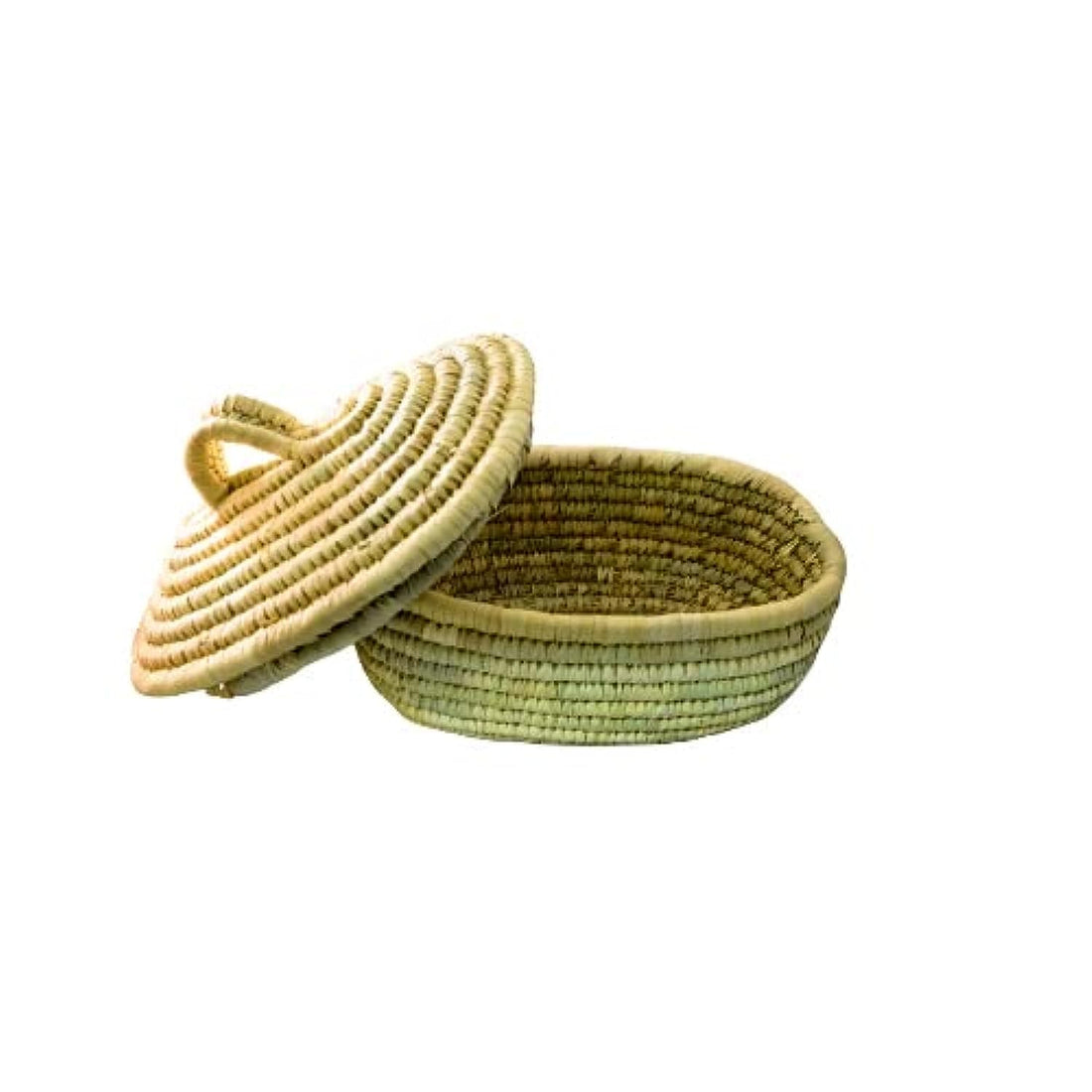 Arid The Palms 6 Inch Wide 4" Long Rectangular Solid Box