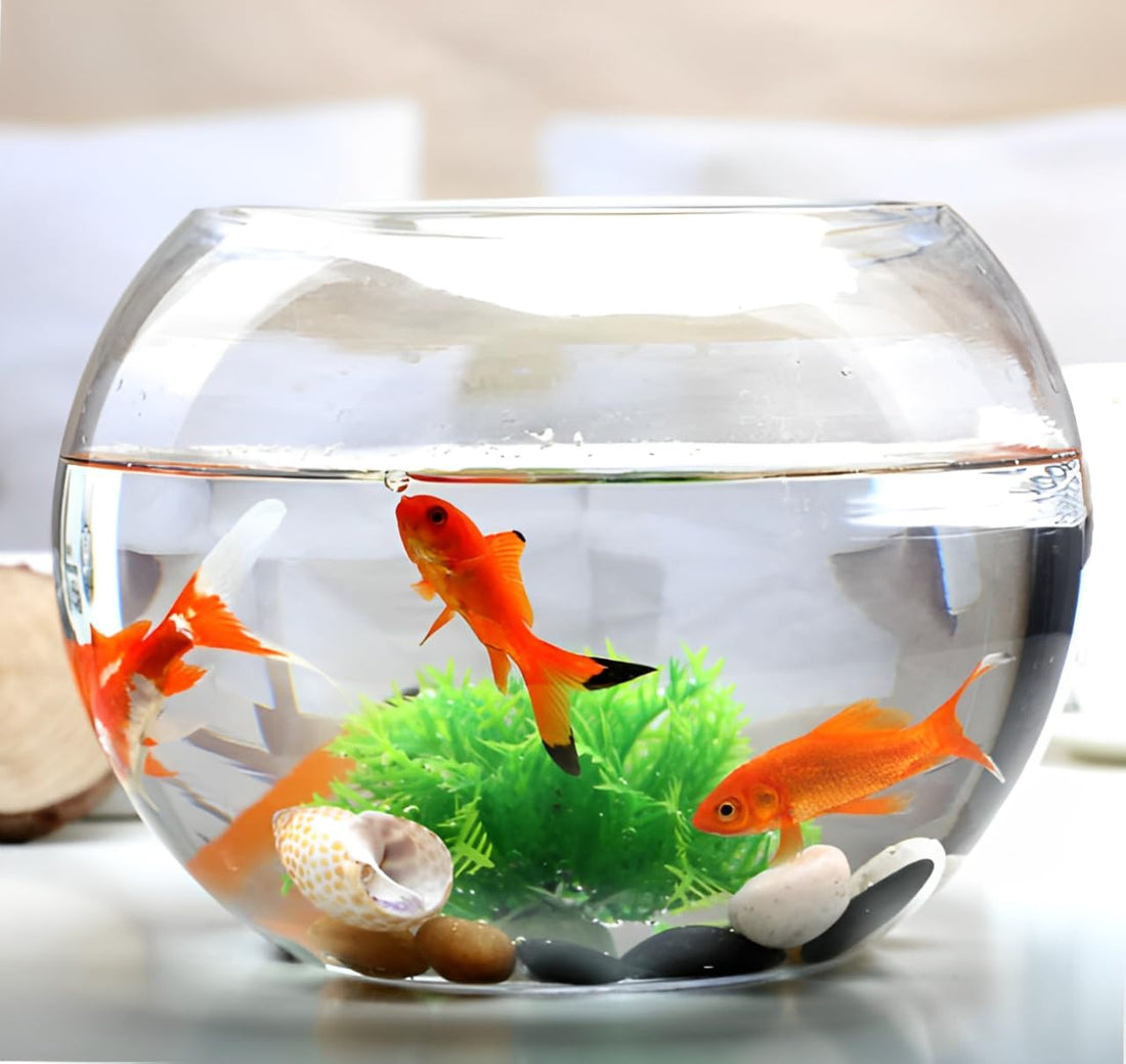 Portal Round glass aquarium fish tank small glass vase round bowl fish tank (Diameter 20cm).