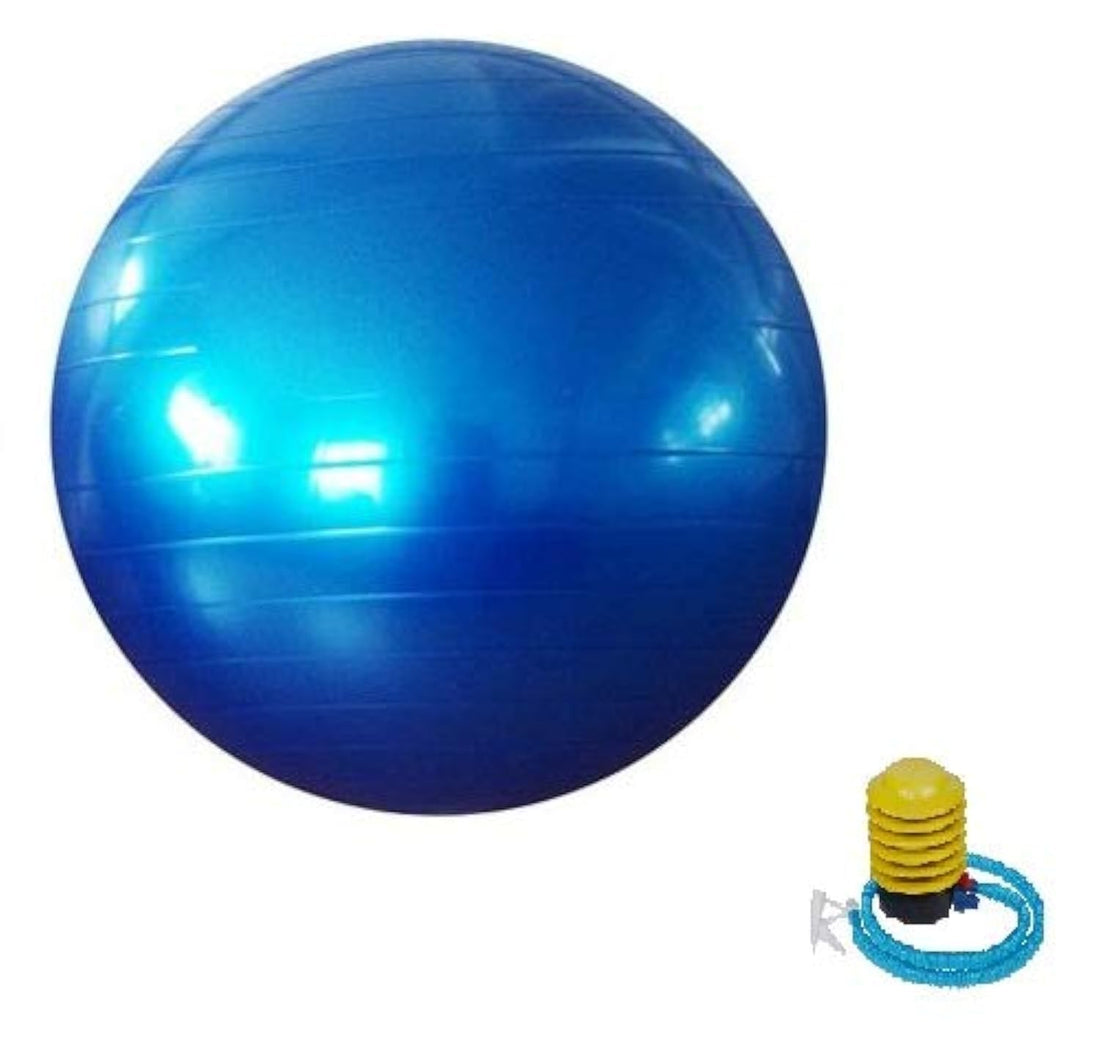 Fitness Exercise Swiss Gym Fit Yoga Core Ball 65CM Abdominal Back Leg Workout Blue