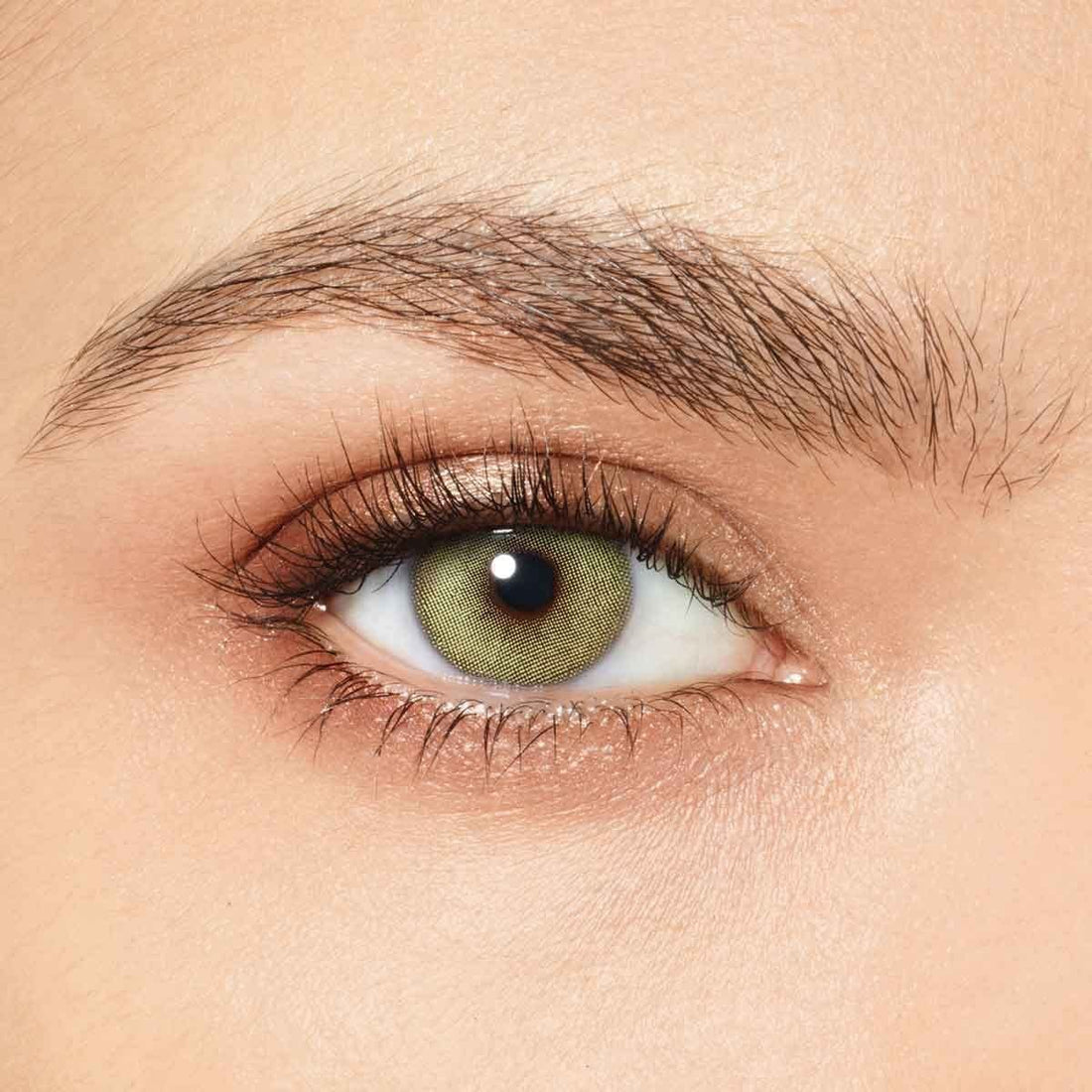 Desio Attitude One Day Color Lenses Wild Green