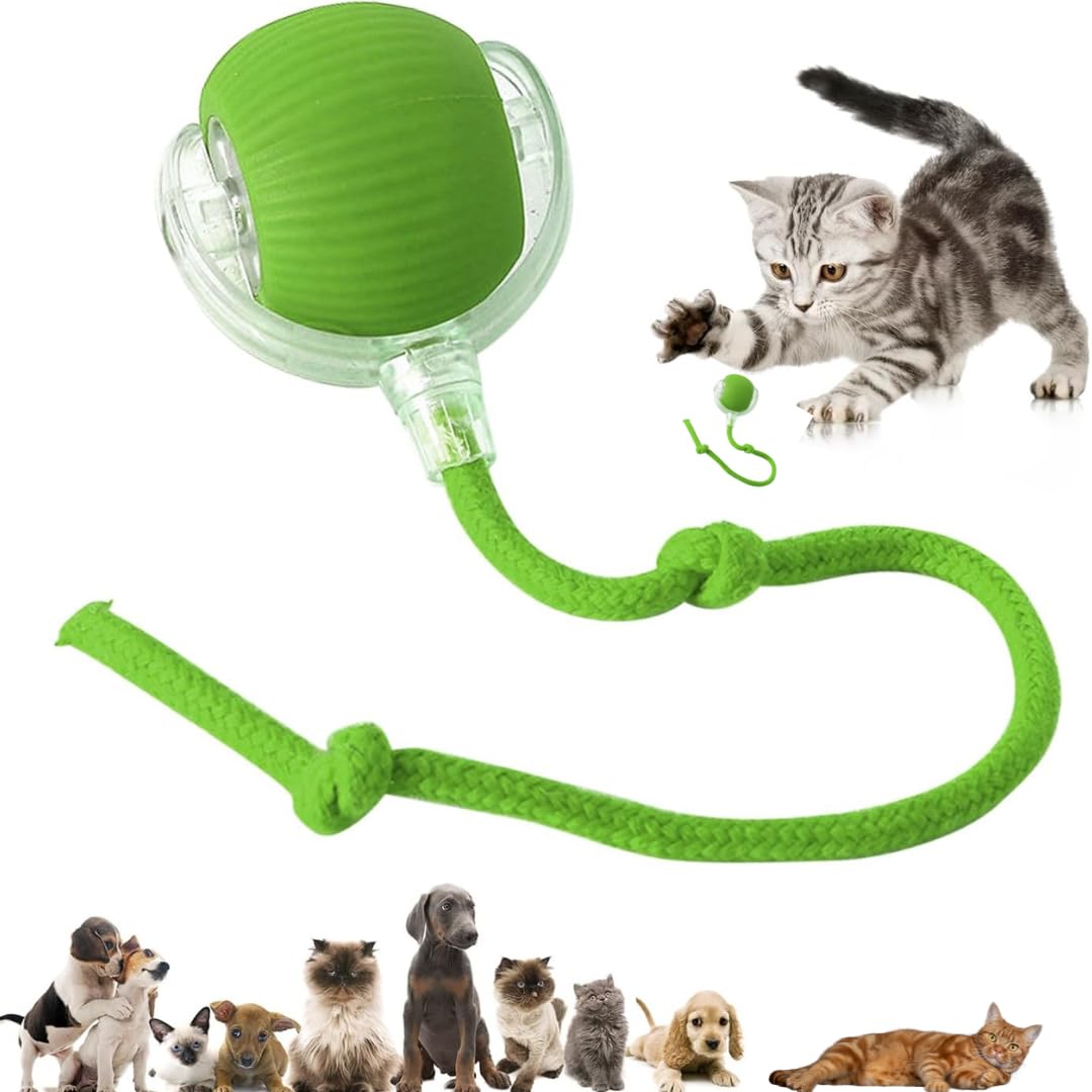 Interactive Cat/Interactive Dog Ball Toy, Pet's Toys for Indoor Cats/Dogs,Cat Rotating Ball Toy,Automatic Moving pet's Balls,360°Automatic Rolling Ball,Electric/Rechargeable,Motion activiated (Green)