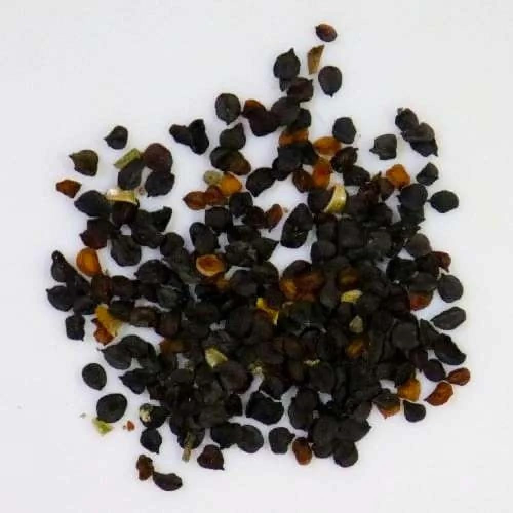 High Quality Clove Seeds,