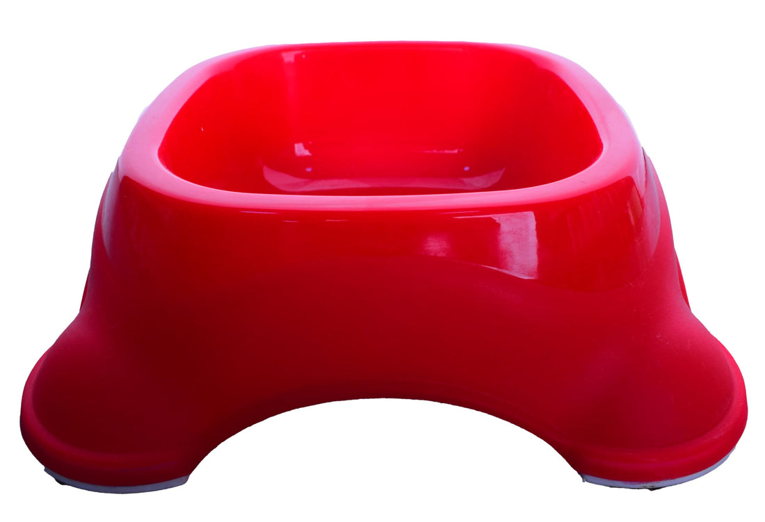 Square Feeding Plate for Pet, Medium - Red from pets zone