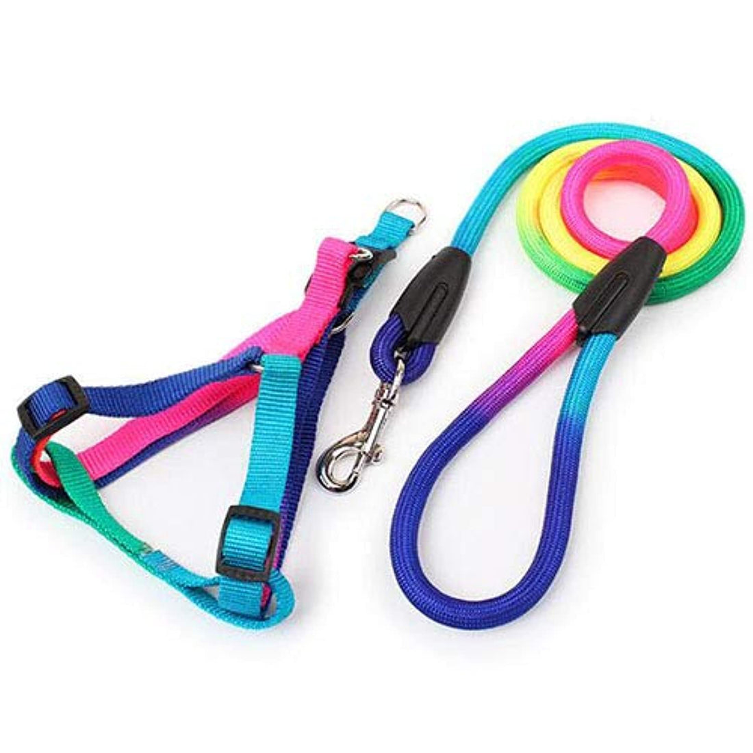 Dog harness and leash in rainbow design