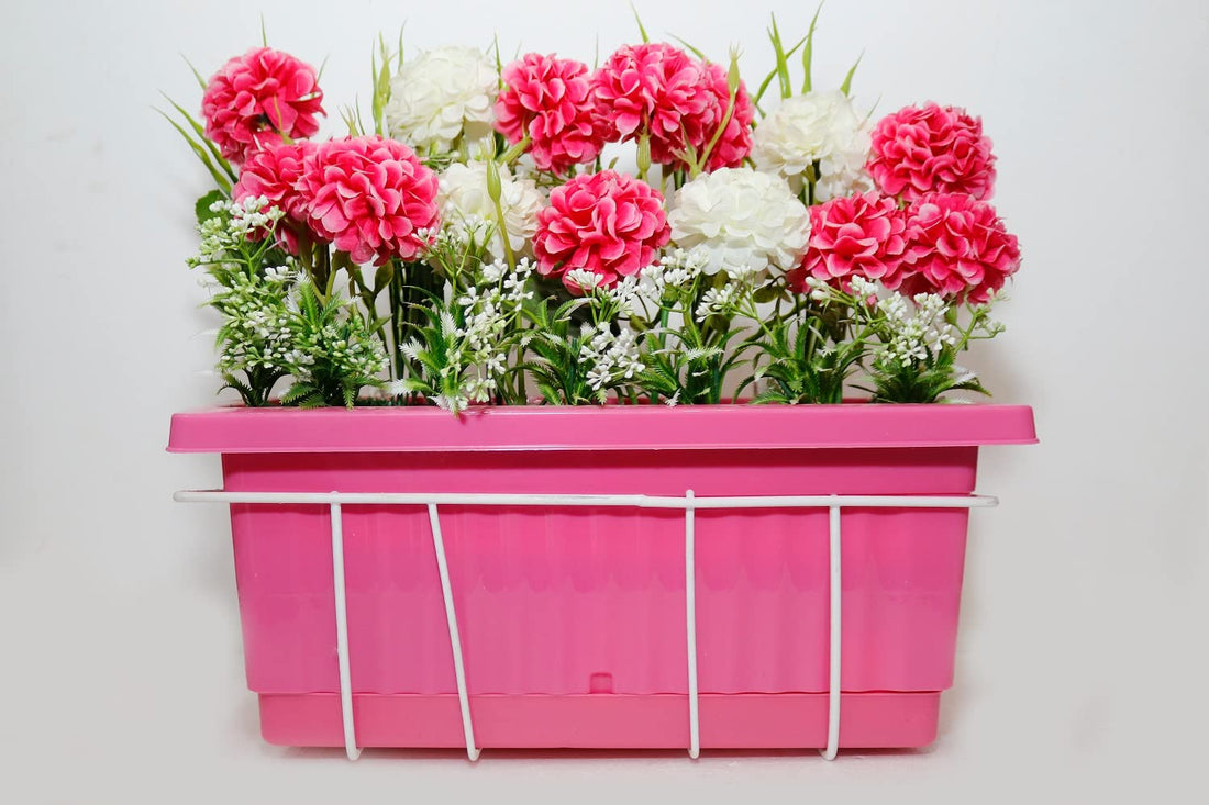 Shawali Colorful Artificial Rose Transition